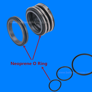 CR Shaft & Pump Seals